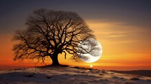 Silhouetted Oak Tree At Sunset With Full Moon Against Golden Sky In Winter