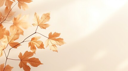 Aufkleber - Minimalistic autumn background with maple leaf shadows on beige. silhouette concept