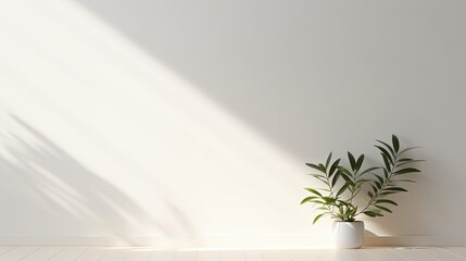 Aufkleber - Simple white wall with blurred foliage shadow on light background Perfect backdrop for a presentation on a sleek floor. silhouette concept