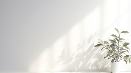 Aufkleber - Simple white wall with blurred foliage shadow on light background Perfect backdrop for a presentation on a sleek floor. silhouette concept