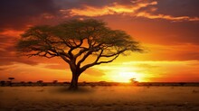 Sunset On African Plains With Acacia Tree Kalahari Desert South Africa. Silhouette Concept