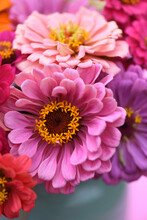 Close Up Of A Bouquet Of Zinnia Flowers