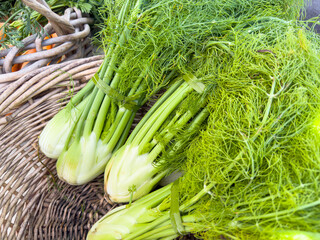 Wall Mural - A view of a basket full of fennel, on display at a local farmers market.