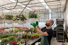 Florist Holds Pot With Flower Inside Greenhouse