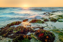 Stunning Beach Landscape Featuring A Sunrise Over Waves And Rocks With Green Algae