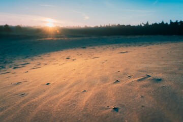 Poster - Tranquil sandy beach illuminated by the warm, soft light of the rising sun