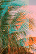 © ALICIA BOCK/Stocksy - Modern Abstract Palm Tree Design In Vibrant Colors
