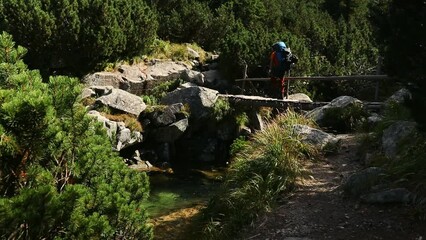 Canvas Print - Caucasian man hiker with big backpack walking on viaduct over a river in the forest