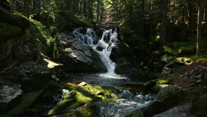 Sticker - Sunny view cascade Lolaia Waterfall on mossy rocky in Retezat Biosphere Reserve, Romania