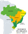Biomes in Brazil, map of 6 ecosystems with natural vegetation. Amazonia (rainforest), Caatinga (scrub), Cerrado (savanna), Mata Atlantica (Atlantic Forest), Pampa (grassland), and Pantanal (wetland).