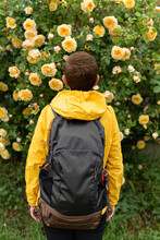 Woman With Backpack Standing In Front Of Yellow Rose Bush