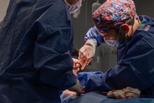 Man Stitching Inner Organ On Patient During Surgery