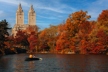 Foliage at Central Park - New York