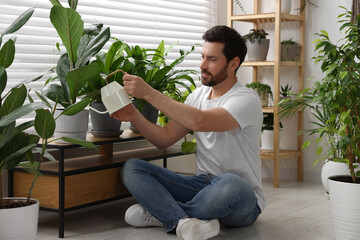 Canvas Print - Man watering beautiful potted houseplants at home