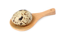 Wooden Spoon With Quail Egg Isolated On White