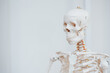 © Amir Kaljikovic/Stocksy - Clean white skeleton