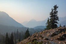 Alpine Landscape At Dusk, Cascade Range, Washington