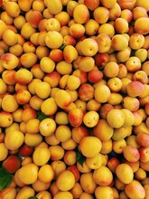 Fresh Apricots Pattern