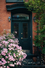American Old House With Blooming Rose Bush