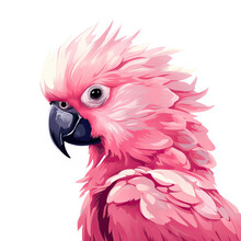 Isolated Illustration Of A Pink Exotic Parrot With Graphic Design Elements