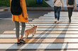 © Irina Polonina/Stocksy - Person with dog on walk in city.