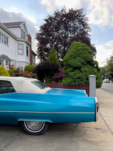 Vintage Convertible  Blue Car  Neighborhood Driveway Landscape 