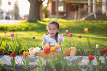 Cute Child Enjoying The Tulips In A Spring Garden