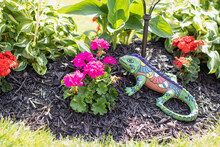 Small Flower Garden With A Ornate Painted Lizard Ornament