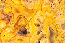 Yellow And Red Crazy Lace Agate  