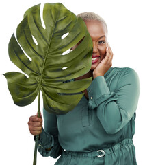Wall Mural - Green leaf, portrait and woman with sustainability, eco friendly and natural beauty. African female person, happy and smile with plants and monstera growth isolated on a transparent, png background