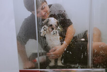 The Dog Shih Tzu Washing In The Shower