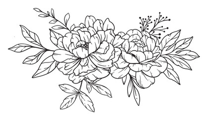 Wall Mural - Peony  Line Art, Fine Line Peony Bouquets Hand Drawn Illustration. Coloring Page with Peony Flowers. 