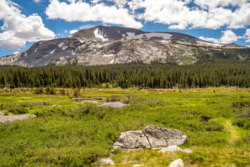 Wall Mural - View of the Meadow and Snowy Mountain, Yosemite National Park