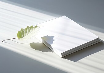 Wall Mural - white book on surface in style of minimalism