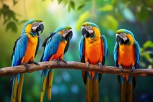 Colorful Macaws Sitting On A Branch In The Forest, Thailand. Beautiful Macaws In The Jungle. Blue And Yellow Macaw, AI Generated