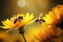 Honey Bee Collecting Nectar On Yellow Daisy Flower, Closeup, Bees Flying Over A Beautiful Yellow Flower, AI Generated