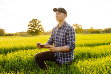 Wall Mural - Young farm owner on a green wheat field in his hands with a digital tablet. A farmer checks the harvest in a green wheat field. Agriculture concept.