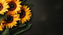 Sunflower On Dark Background Flat Lay