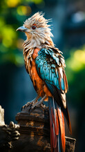 Colorful Bird Sitting On Top Of Piece Of Wood.