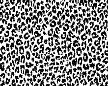 Abstract Animal Skin Leopard, Cheetah, Jaguar Seamless Pattern Design. Black And White Seamless Camouflage Background.