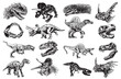 Graphical set of dinosaurs isolated on white background,vector illustration for tattoo and printing