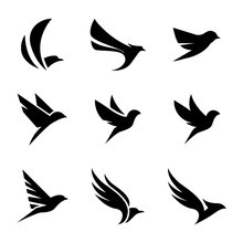 Monochrome Bird Logo Set