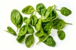 Top view of isolated fresh spinach leaves. Generative AI