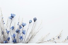 Dried Blue Wildflowers On A White Background. Delicate, Serene, Minimalist Arrangement. Generative AI