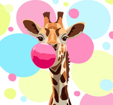 The Giraffe Inflates A Big Pink Bubble Of Chewing Gum. On The Background Of Translucent Multi-colored Circles.