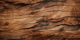 Fototapeta Las - Bark wood texture, untreated natural tree bark, backdrop.