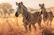 © artsterdam - Zebras herd on African savanna in sunlight. Wild nature of Africa. Zebra stand facing camera. Generative AI