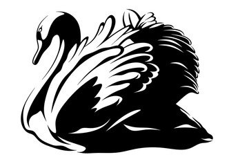 Wall Mural - Isolated black swan. Drawn large waterfowl. Swan logo clipart.