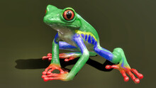 3d Illustration Of Red-eyed Tree Frog With Dark Background In HD Quality 