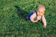 nine month baby crawl on all fours on green grass and smile, kid connect with the nature, banner copy space